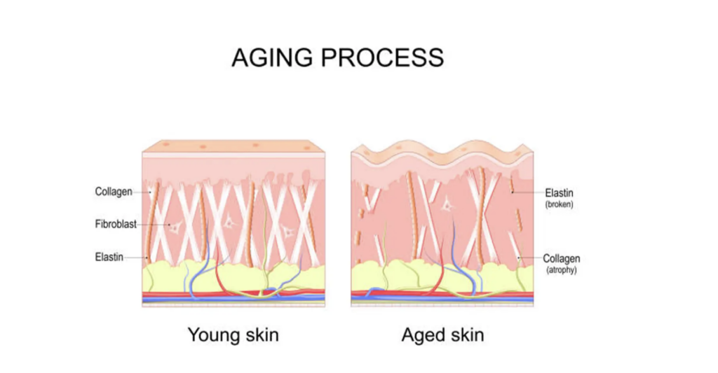 Screen Shot 2026 01 05 At 6.32.38 Pm